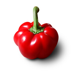Single Red Bell Pepper
