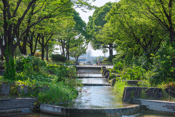 Fototapeta premium 名古屋市の港北公園の風景