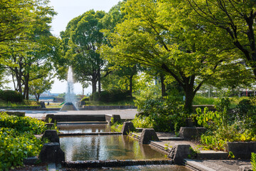 Fototapeta premium 名古屋市の港北公園の風景