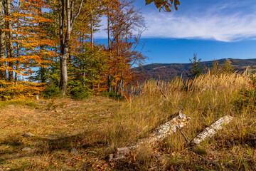 Beskidzki widok na góry