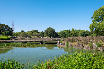 Fototapeta premium 堺市の大仙公園