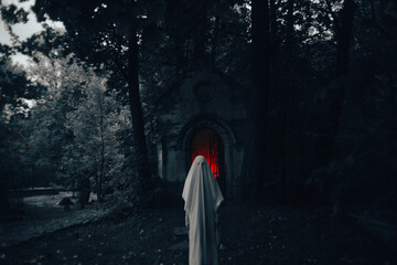 There is a ghost at the night cemetery near the crypt. It's Halloween night, and the atmosphere is...