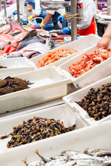 Assorted fresh seafood at a local market stall. Fish market. Shrimps, crabs and barnacles.