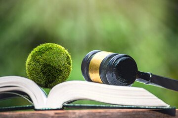 Environment Law. Green globe placed and gavel on a law book. law for principles of sustainable environmental conservation. environmental protection and eco-friendly legislation law. Save Earth.ESG
