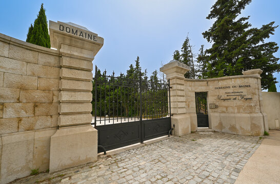 France, Cassis, Vineyard Domaine du Bagnol, AOC Cassis. High quality photo