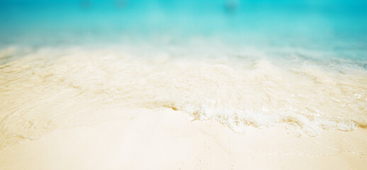 Tropical blur panorama