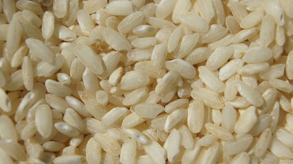 Rice, Risotto rice, large grains of white rice, milky creamy color, with traces of rice flour, rice texture, side dish, ingredient of Italian cuisine, macro, Italy