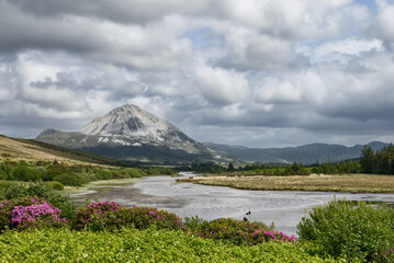 A summer scene at Lough Nacung Upper, near Drumnalifferny Mountain, featuring lush greenery and blooming flowers under overcast skies