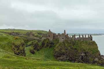 Fototapeta premium Ruins of Dunluce Castle sit atop a grassy cliff, with rocky outcrops and ocean views under a cloudy sky in Northern Ireland, surrounded by green pastures