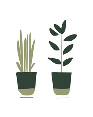 wo potted plants, ideal for nature-themed designs and botanical decor