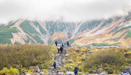 Murodo, Tateyama Kurobe Alpine Route, Japan, Hikers traverse a stone path leading through lush...
