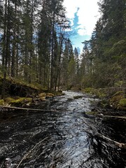 Naklejka premium River