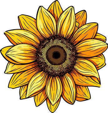 yellow sunflower close-up view clip art preview