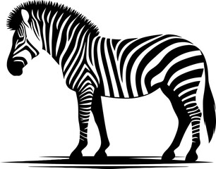 Zebra Silhouette Minimalist Illustration Symbol Element Vector