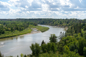 Obraz premium river in the woods