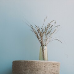 A delicate arrangement of dried flowers in a glass vase, set against a soft blue background, offering a touch of natural beauty and simplicity to any space.