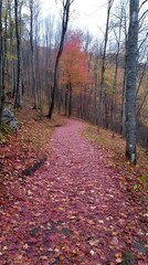 Obraz premium A winding path through an autumn forest, covered in fallen leaves of red and orange, leading to the horizon