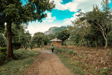 Fototapete bei efototapeten.de bestellen   