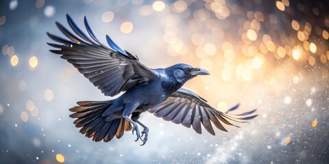 Obraz premium Crow in Flight Isolated on White Background – Stunning Conceptual Photography, Wildlife in Motion, Nature Photography, Avian Beauty, Bird in Action, Majestic Crow, High-Quality Image