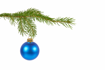 evergreen fir twig with hanging christmas ball isolated on white or transparent png