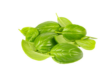 Fototapeta premium Fresh basil leaves isolated on white background
