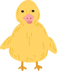 Cute duck cartoon on white background. Vector illustration.