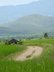 landscape with a house in the background