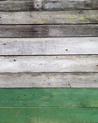 Fototapeta premium grey and green wood texture background