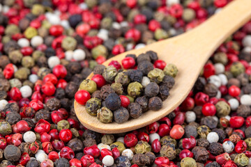 Mixture of dry round hot red pepper, black pepper, white pepper, green pepper