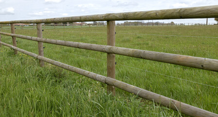 Clôture en bois pour chevaux © hcast