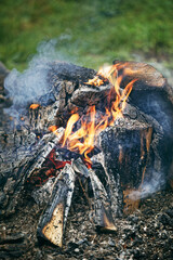 Campfire with burning firewood at early morning.