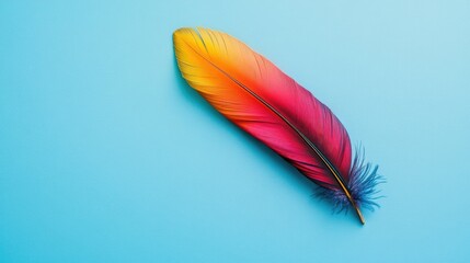 A vibrant colorful feather resting on a minimalist background, symbolizing Indigenous heritage for Nation Indigenous Peoples Day.