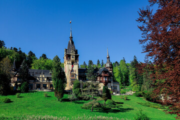 Fototapety na wymiar - Fototapeta24.pl