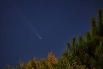 Fototapeta premium Comet C/2023 A3 Tsuchinshan-ATLAS passing over the sky in Poland.
