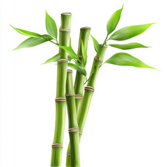 Fototapeta premium Lush bamboo stalks with vibrant green leaves in clip art style