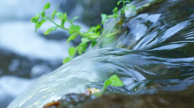 A serene image capturing a tranquil stream flowing over rocks, accompanied by fresh green plants. The flowing water offers a sense of peace and natural beauty.
