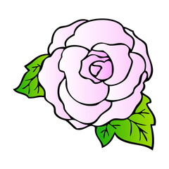 begonia flower vector illustration