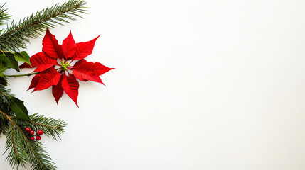 Aesthetic minimalistic Christmas light background with poinsettia flower and fir branch, copy space. Generative AI
