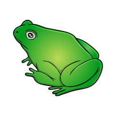 frog vector illustration