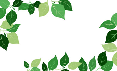 green leaves frame