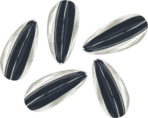 Sunflower seeds illustration isolated