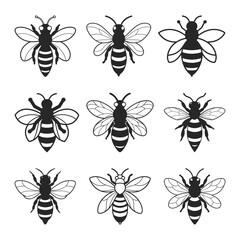 Honey Bee SVG Vectors Illustrations, Bee Silhouette, Bee Logo Vector
