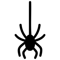 Spider Hanging From Web Isolated On White