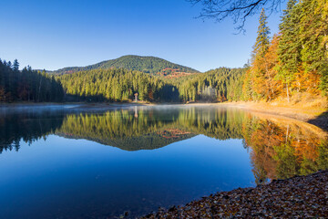 Obraz premium autumn landscape with lake in morning light. sunny weather. beautiful travel destination of europe in carpathian mountains of ukraine