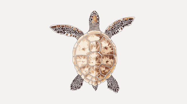 Sea turtle watercolor isolated on white background. Ocean underwater animal painting vector illustration