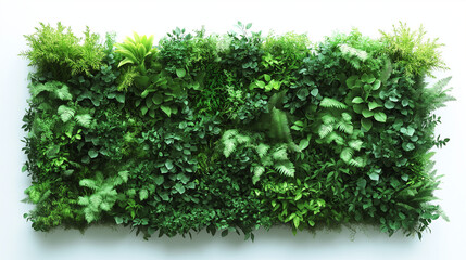 Fototapeta premium green grass on white background, green leaves on a white background, green leaves background, background with leaves, green wall