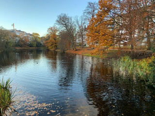 Obraz premium Germany-Bremen. 11.21.2021.Fall in the city park. Autumn in the park. High quality photo