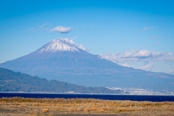 Fototapeta premium Mt.Fuji and sea with gold grassland at shizuoka (japan)