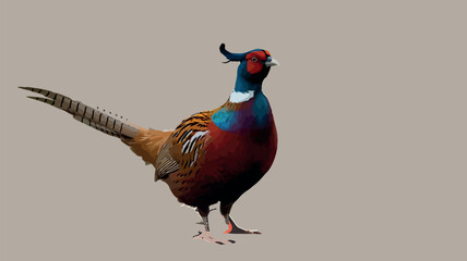 Colorful Pheasant in Scenic Nature Landscape Illustration