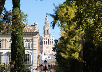 Naklejka premium Panoramic photo from an avenue in Seville, Spain, of the Giralda bell tower of the Cathedral of Santa Maria. Concept of world heritage monuments.